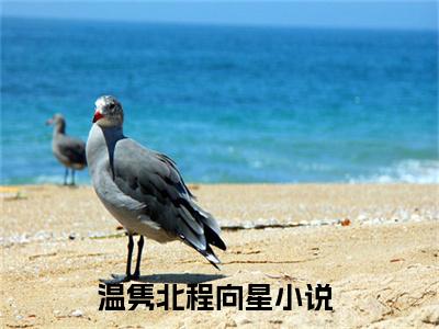 温隽北程向星免费阅读无弹窗大结局-温隽北程向星最新全章节全文阅读免费阅读-笔趣阁
