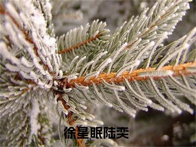 徐星眠陆奕小说全文(徐星眠陆奕)免费阅读全文无弹窗大结局_ 徐星眠陆奕免费阅读无弹窗小说_笔趣阁