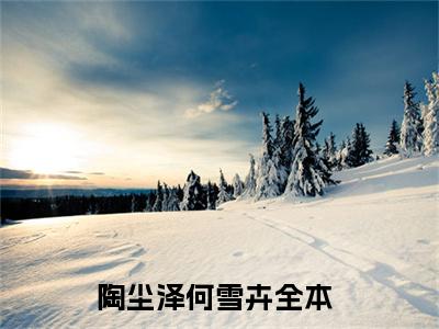 陶尘泽何雪卉是啥小说 陶尘泽何雪卉免费阅读无广告
