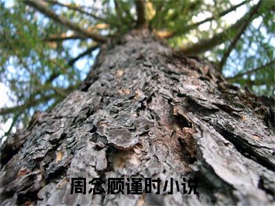周念顾谨时小说全文免费阅读（周念顾谨时）全文免费阅读无弹窗大结局_(周念顾谨时)周念顾谨时小说免费阅读无弹窗最新章节列表_笔趣阁（周念顾谨时）