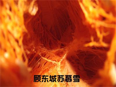抖音新上热文顾东城苏慕雪-抖音热推小说无弹窗阅读