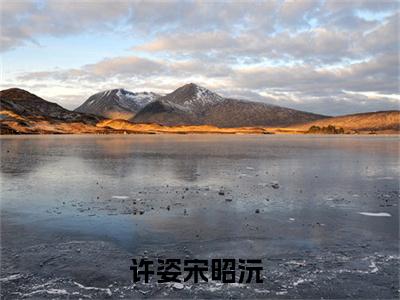 许姿宋昭沅（许姿宋昭沅）多人推荐阅读-精选小说（许姿宋昭沅）完整版免费阅读