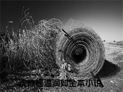 沈沐瑶温润如（娇软太子妃宠冠东宫）小说大结局免费阅读（娇软太子妃宠冠东宫）-完结版沈沐瑶温润如小说推荐