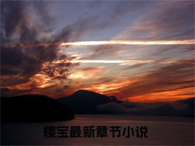 小说樱宝全文免费阅读无弹窗大结局_捡了福星闺女后，全村都旺了完整阅读