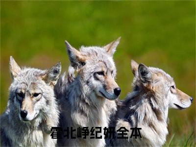 霍北峥纪妍小说全文免费阅读(霍北峥纪妍)全文免费阅读无弹窗大结局_ 霍北峥纪妍最新章节列表_笔趣阁（霍北峥纪妍小说）