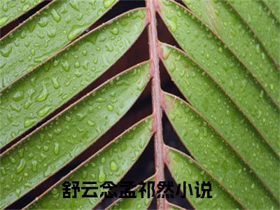 舒云念孟祁然新上热文小说-舒云念孟祁然推荐阅读已完结