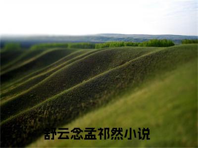 舒云念孟祁然(舒云念孟祁然)全文免费阅读无弹窗大结局_舒云念孟祁然免费阅读_笔趣阁（舒云念孟祁然）