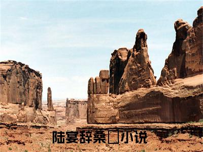 陆宴辞桑湳（陆宴辞桑湳）全文免费阅读无弹窗大结局_陆宴辞桑湳(陆宴辞桑湳)小说结局免费阅读（陆宴辞桑湳）