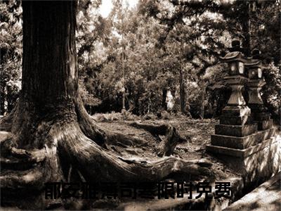 主人公叫郁安雅薄司寒的小说郁安雅薄司寒哪里免费看