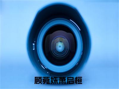 顾菀姝萧启桓（大结局小说全集完整版）顾菀姝萧启桓小说_顾菀姝萧启桓全文阅读笔趣阁