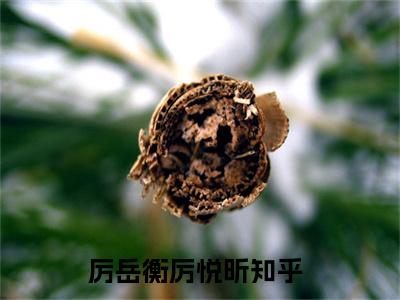 厉岳衡厉悦昕小说全文免费阅读无弹窗大结局_（厉岳衡厉悦昕免费阅读无弹窗）最新章节列表_笔趣阁