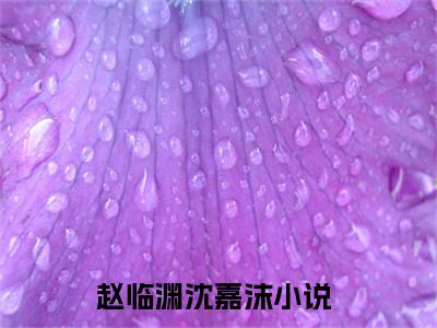 赵临渊沈嘉沫小说（赵临渊沈嘉沫）全文免费阅读无弹窗_赵临渊沈嘉沫小说最新章节免费阅读_笔趣阁