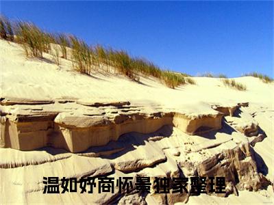温如妤商怀景小说（温如妤商怀景）全文免费阅读无弹窗_温如妤商怀景小说_笔趣阁