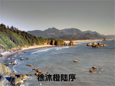 徐沐橙陆序已完结全集大结局小说-热门小说（徐沐橙陆序）最新章节阅读
