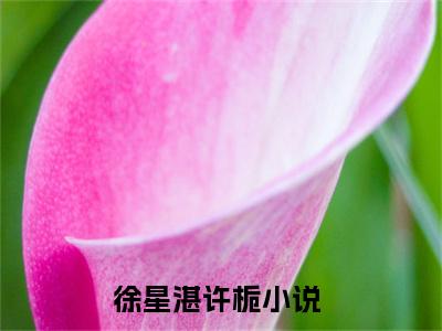 (抖音小说)徐星湛许栀免费阅读徐星湛许栀在线阅读大结局