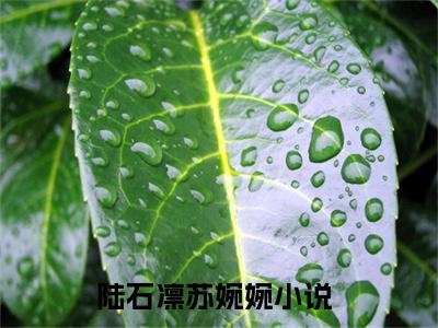 陆石凛苏婉婉（陆石凛苏婉婉）全文免费阅读无弹窗大结局_陆石凛苏婉婉小说免费最新章节列表_笔趣阁