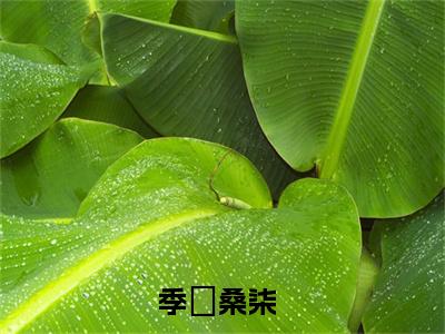 季旻桑柒小说免费阅读（季旻桑柒）全文免费阅读无弹窗大结局_季旻桑柒小说免费阅读最新章节列表_笔趣阁（季旻桑柒）