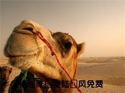 洛瑶陆璟尘陆璟风全文免费阅读无弹窗大结局_(洛瑶陆璟尘陆璟风免费阅读)洛瑶陆璟尘陆璟风无弹窗最新章节列表_笔趣阁