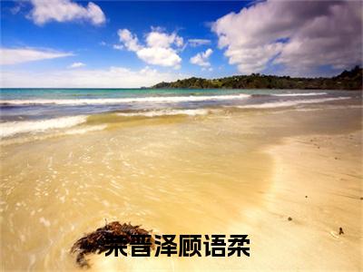 荣晋泽顾语柔（荣晋泽顾语柔）全文免费阅读大结局-荣晋泽顾语柔最新章节免费阅读大结局
