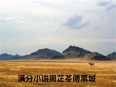 周芷苓傅禹城（周芷苓傅禹城）是什么小说-小说周芷苓傅禹城全文阅读