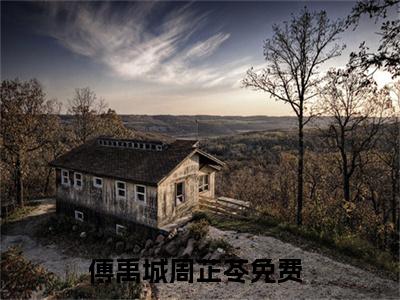傅禹城周芷苓全网首发最新小说主角傅禹城周芷苓全文在线免费阅读