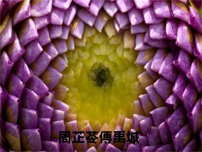 周芷苓傅禹城（周芷苓傅禹城）小说全文无广告阅读-周芷苓傅禹城小说赏析