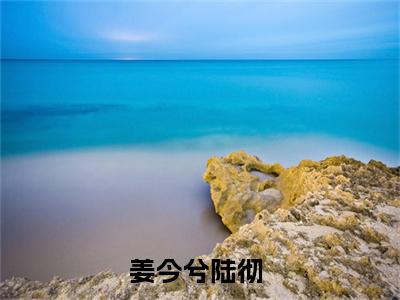 姜今兮陆彻超多人求的小说推荐姜今兮陆彻-小说免费阅读姜今兮陆彻