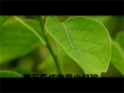 小叔珍重，这一生不能再陪你走下去了小说全文免费阅读_萧万森许念星（萧万森许念星）最新章节列表笔趣阁