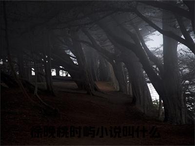 徐晚桃时屿免费小说（徐晚桃时屿）全本免费阅读-徐晚桃时屿最新章节列表