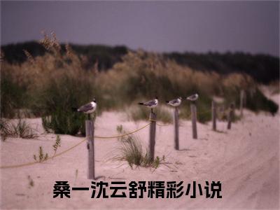桑一沈云舒小说全文（桑一沈云舒）全文免费阅读无弹窗大结局_桑一沈云舒小说全文最新章节列表_笔趣阁