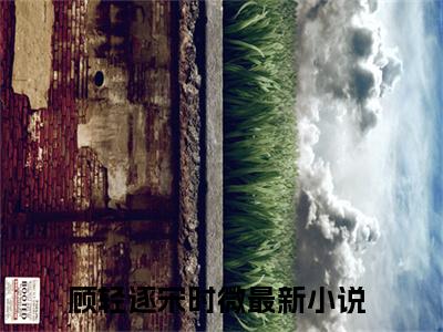 热文（顾轻逐宋时微）美文阅读_热门小说顾轻逐宋时微主人公是（顾轻逐宋时微）最新章节最新章节列表_笔趣阁