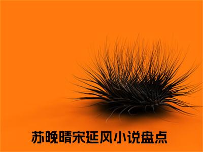 苏晚晴宋延风是的小说-《苏晚晴宋延风》完整章节阅读无弹窗免费阅读大结局