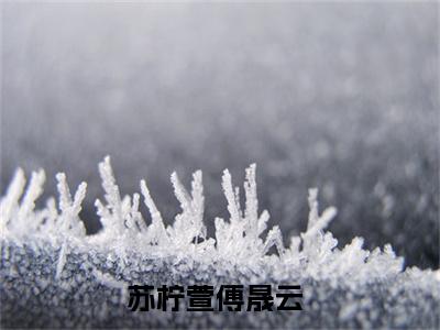 苏柠萱傅晟云(苏柠萱傅晟云)全文免费阅读无弹窗大结局_苏柠萱傅晟云全文免费阅读最新章节列表_笔趣阁（苏柠萱傅晟云）