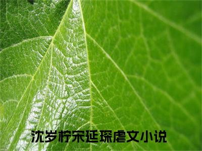 沈岁柠宋延琛（沈岁柠宋延琛）小说全文免费阅读无弹窗_（沈岁柠宋延琛）最新章节列表_笔趣阁