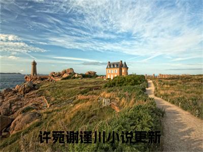 许菀谢谨川小说限时免费,许菀谢谨川完结版小说阅读无弹窗_笔趣阁