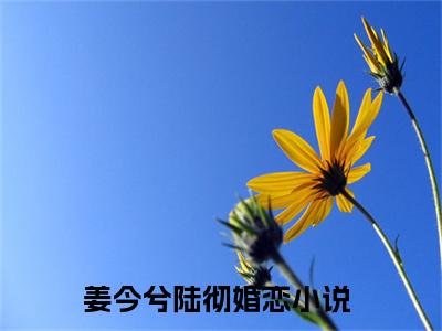 姜今兮陆彻（姜今兮陆彻）全文免费阅读无弹窗大结局_ （姜今兮陆彻）姜今兮陆彻最新章节列表_笔趣阁（姜今兮陆彻）