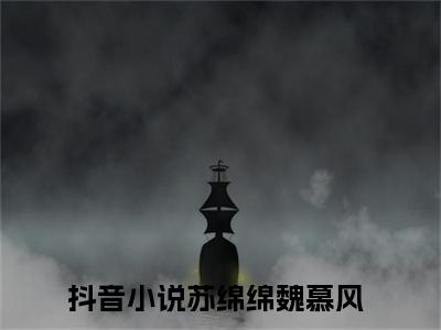 主角是苏绵绵魏慕风的小说-2023年精选热门小说（苏绵绵魏慕风）