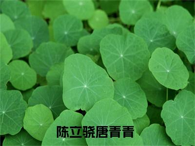 (热推新书)陈立骁唐青青完整版免费小说无弹窗阅读_陈立骁唐青青最新章节列表_笔趣阁（陈立骁唐青青）