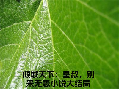 风昊天盛芷荷全文最新章节（倾城天下：皇叔，别来无恙）全文免费阅读无弹窗大结局_倾城天下：皇叔，别来无恙免费阅读（风昊天盛芷荷全文）
