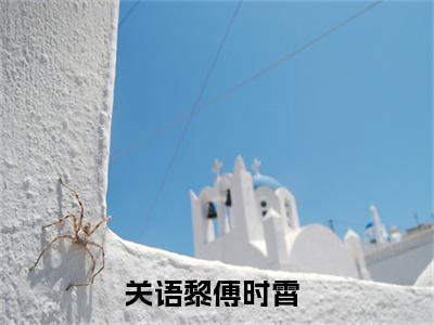 《关语黎傅时霄》关语黎傅时霄（大结局小说全集完整版）关语黎傅时霄小说_全文阅读笔趣阁