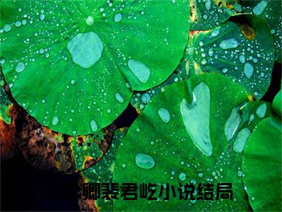 沈念卿裴君屹小说（沈念卿裴君屹）全文免费阅读无弹窗大结局_(沈念卿裴君屹小说)沈念卿裴君屹小说免费阅读无弹窗最新章节列表_笔趣阁（沈念卿裴君屹）