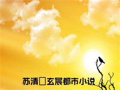 苏清玥玄宸豪门小说全章节阅读-苏清玥玄宸全文免费阅读