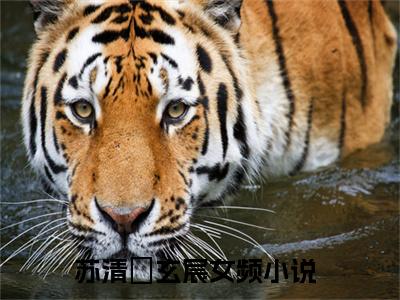 苏清玥玄宸小说（苏清玥玄宸）全文免费阅读无弹窗大结局_苏清玥玄宸（苏清玥玄宸）最新章节列表-笔趣阁（苏清玥玄宸）