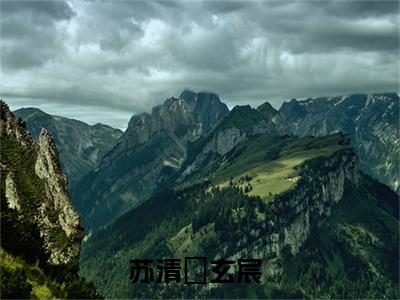 苏清玥玄宸小说最新章节-苏清玥玄宸在线全文免费阅读