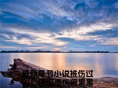 傅云琛姜凝（被伤过的心依旧是伤痕累累）小说免费阅读完结版-傅云琛姜凝小说全文免费阅读
