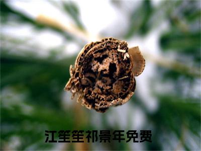 江笙笙祁景年小说最新章节阅读-小说（江笙笙祁景年）已完结小说精彩大结局