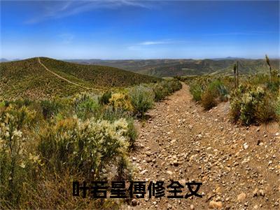叶若星傅修（叶若星傅修）全文免费阅读无弹窗大结局_（叶若星傅修无弹窗）最新章节免费阅读_笔趣阁