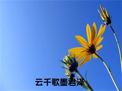 云千歌墨君泽正版小说最新章节在线阅读-（云千歌墨君泽）全文无弹窗阅读