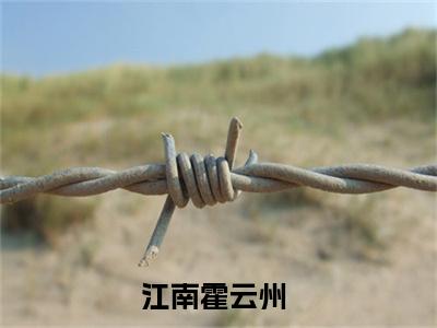江南霍云州（明撩暗恋！霍律师下手轻点）小说免费阅读无弹窗大结局_（明撩暗恋！霍律师下手轻点阅读无弹窗）最新章节列表_笔趣阁（江南霍云州）