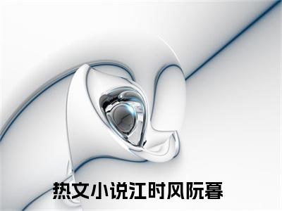 江时风阮暮小说（已完结小说全集完整版大结局）小说全文阅读笔趣阁